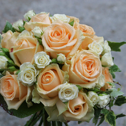 250x250_189-bouquet_rose_rid